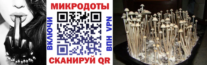 сколько стоит  Пенза  Галлюциногенные грибы Psilocybe 