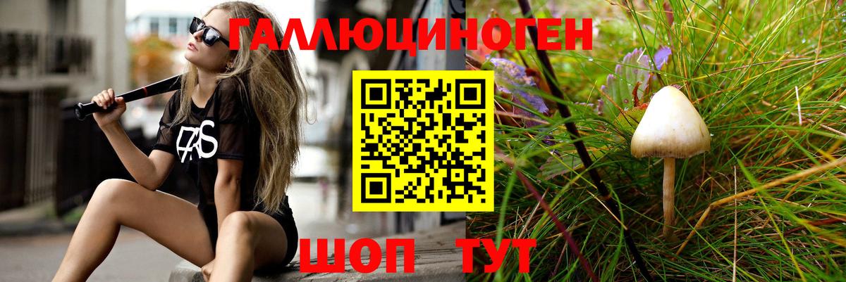 Галлюциногенные грибы ЛСД  Псилоцибиновые грибы мухоморы  Пенза  Вход с VPN 
